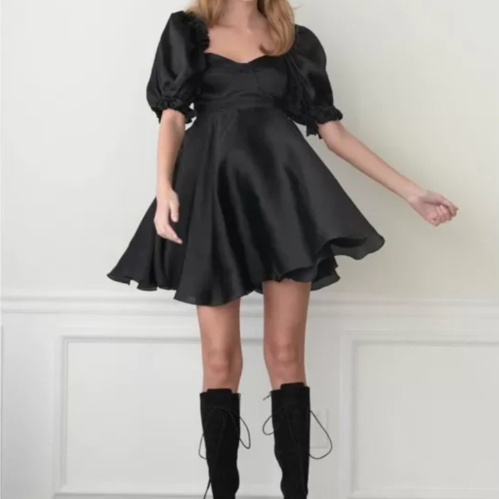 NWT 3X Selkie Black Swan Parliament Dress